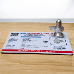 Parad Shivling - Original Mercury Shivling for Worship & Energy Balance with Lab Certificate - 22GM - Malawala