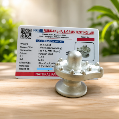 Parad Shivling – Original Mercury Shivling | 1" to 1.7" (63gm to 285gm) | Lab Certified for Puja & Energy Balance – Malawala