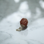 Pendant featuring 1 Mukhi and 4 Mukhi Rudraksha beads set in metal caps, placed against a clean background – spiritual and certified