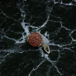 Pendant featuring 1 Mukhi and 4 Mukhi Rudraksha beads set in metal caps, placed against a clean background – spiritual and certified