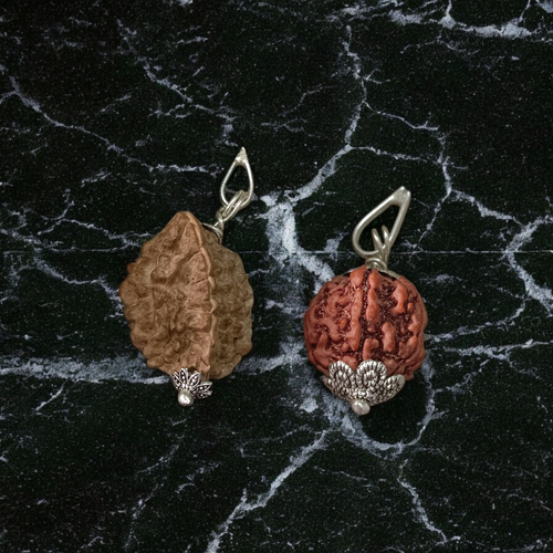 Pendant featuring lab certified 2 Mukhi and 5 Mukhi Rudraksha beads set in traditional metal caps, designed for peace, protection, and spiritual growth