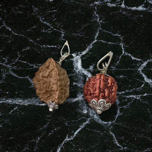 Pendant featuring lab certified 2 Mukhi and 5 Mukhi Rudraksha beads set in traditional metal caps, designed for peace, protection, and spiritual growth