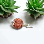 Pendant featuring lab certified 2 Mukhi and 5 Mukhi Rudraksha beads set in traditional metal caps, designed for peace, protection, and spiritual growth
