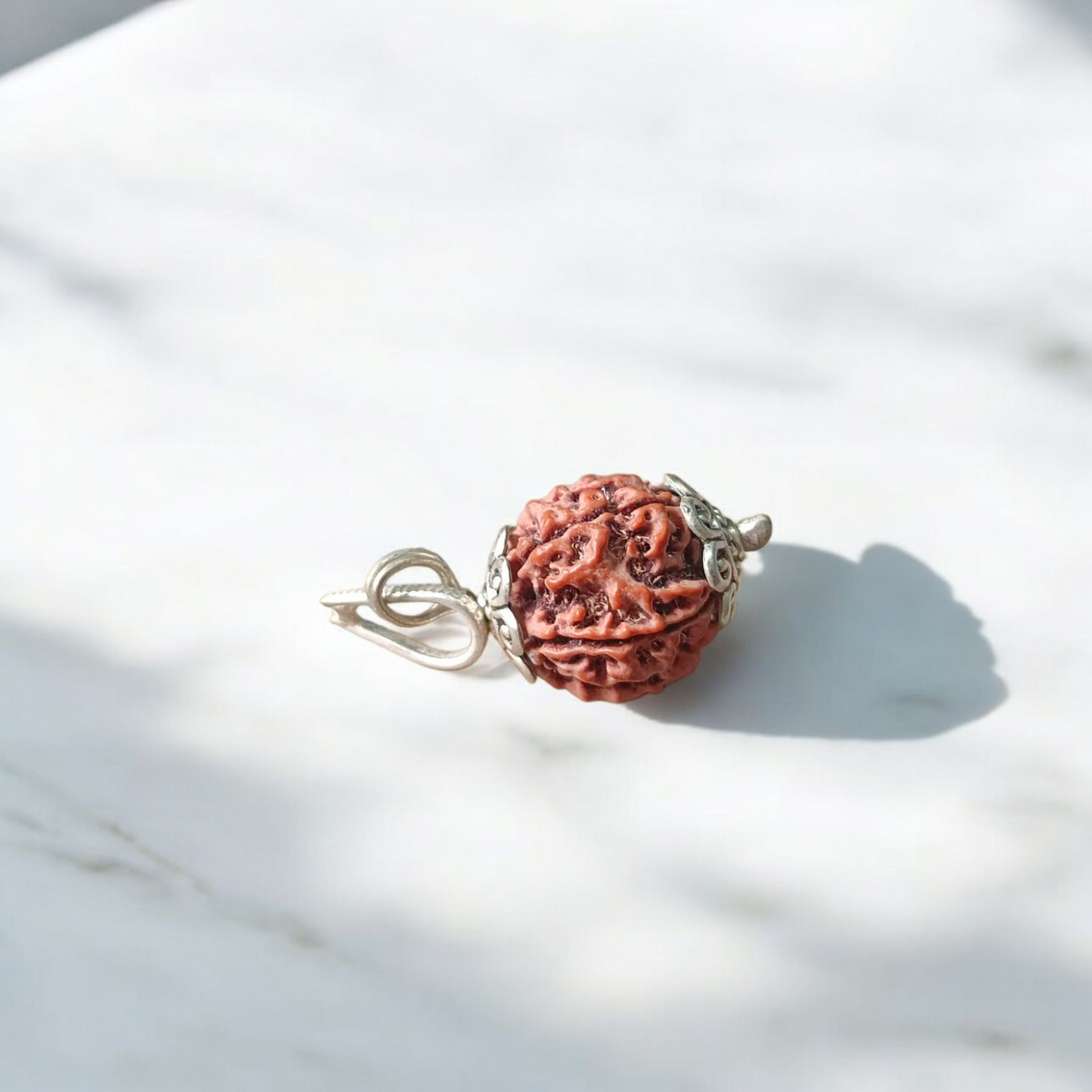 Pendant featuring lab certified 6 Mukhi and 5 Mukhi Rudraksha beads in handcrafted metal caps, ideal for focus, study, and prayer