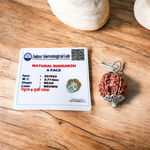 Pendant featuring lab certified 6 Mukhi and 5 Mukhi Rudraksha beads in handcrafted metal caps, ideal for focus, study, and prayer
