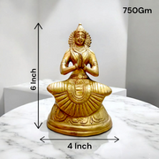 Pure Brass Maa Parvati Idol | Malawala