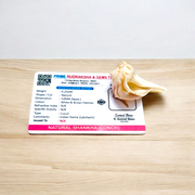 Right Hand Dakshinavarti Lakshmi Shankh – Natural Valampuri Shankh for Puja & Prosperity with Lab Certificate – Malawala