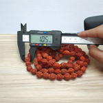 Rudraksha Mala 10MM - Natural 5 Mukhi Rudraksha for Enlightenment & Protection with Lab Certificate - Malawala