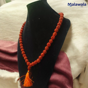 Rudraksha Mala 10MM - Natural 5 Mukhi Rudraksha for Enlightenment & Protection with Lab Certificate - Malawala
