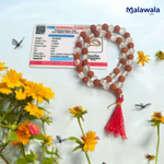 Rudraksha Sphatik Mala - Natural 5 Mukhi Rudraksha & Sphatik for Spiritual Balance & Healing with Lab Certificate - Malawala