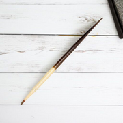 Saahi Ka Kanta - Porcupine Quills Set of 2 - Original Sahi Kanta Upay Ke Liye - Malawala