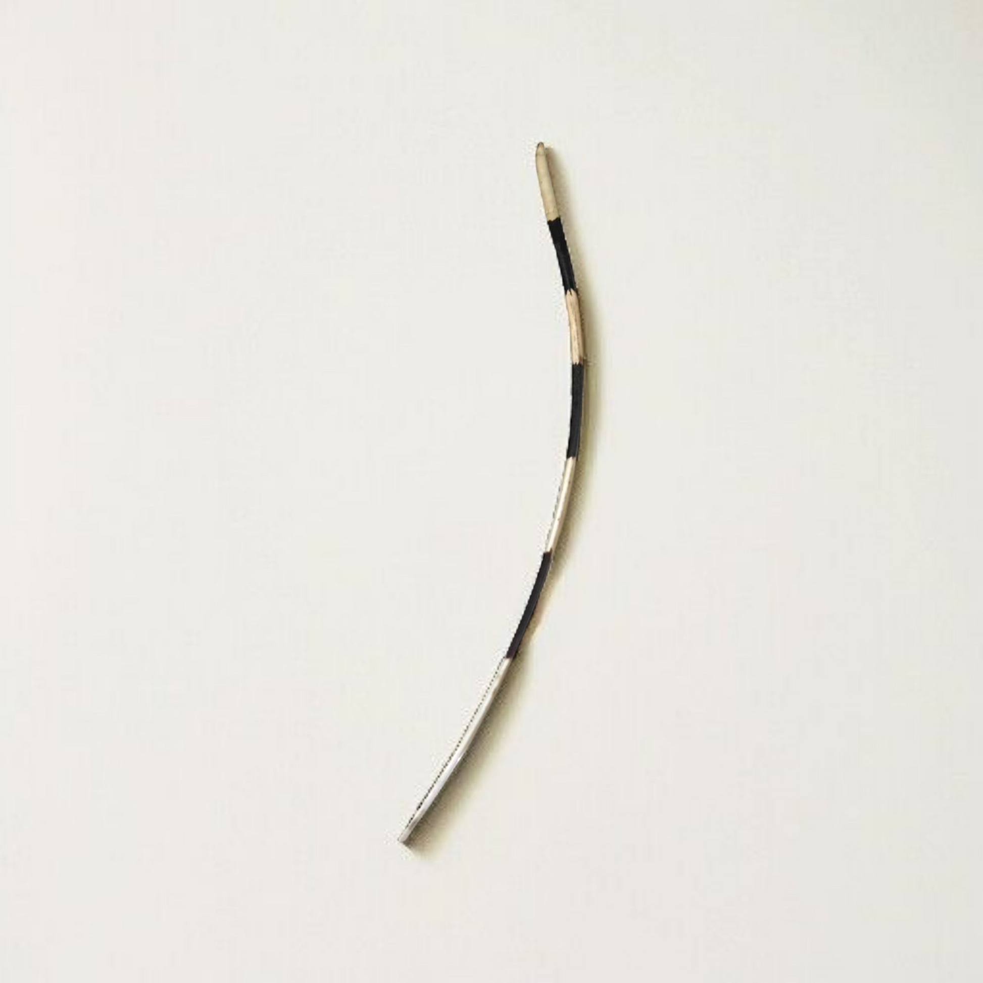 Saahi Ka Kanta - Porcupine Quills Set of 2 - Original Sahi Kanta Upay Ke Liye - Malawala