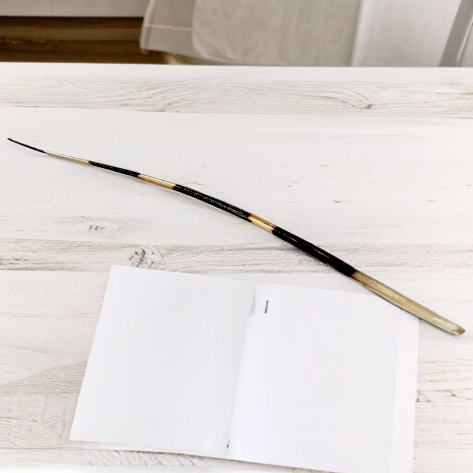 Saahi Ka Kanta - Porcupine Quills Set of 2 - Original Sahi Kanta Upay Ke Liye - Malawala