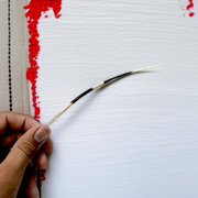 Saahi Ka Kanta - Porcupine Quills Set of 2 - Original Sahi Kanta Upay Ke Liye - Malawala