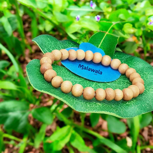 Safed Chandan Bracelet - Natural White Sandalwood for Peace & Meditation with Lab Certificate - Malawala