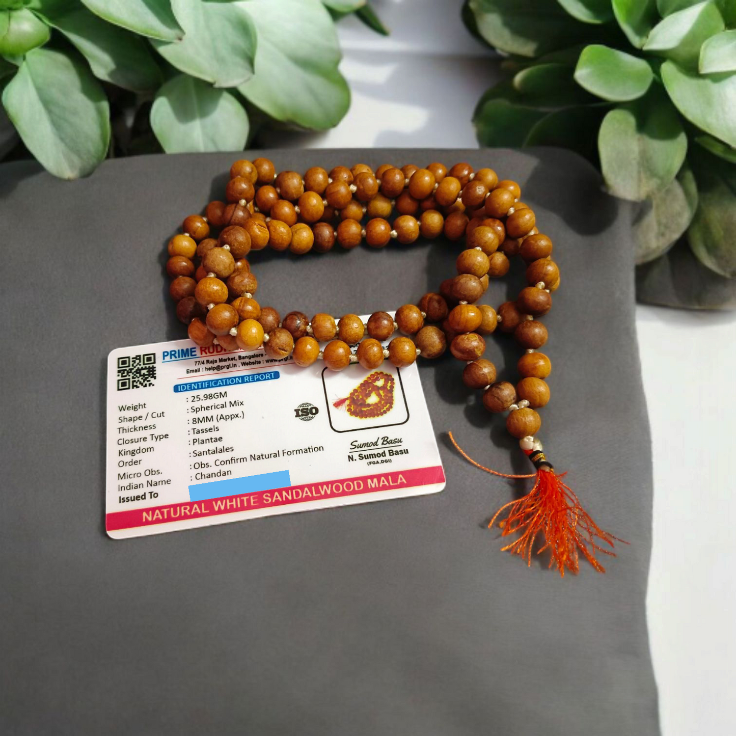 Safed Chandan (White Sandalwood) Mala 108+1 Beads 8MM | Malawala