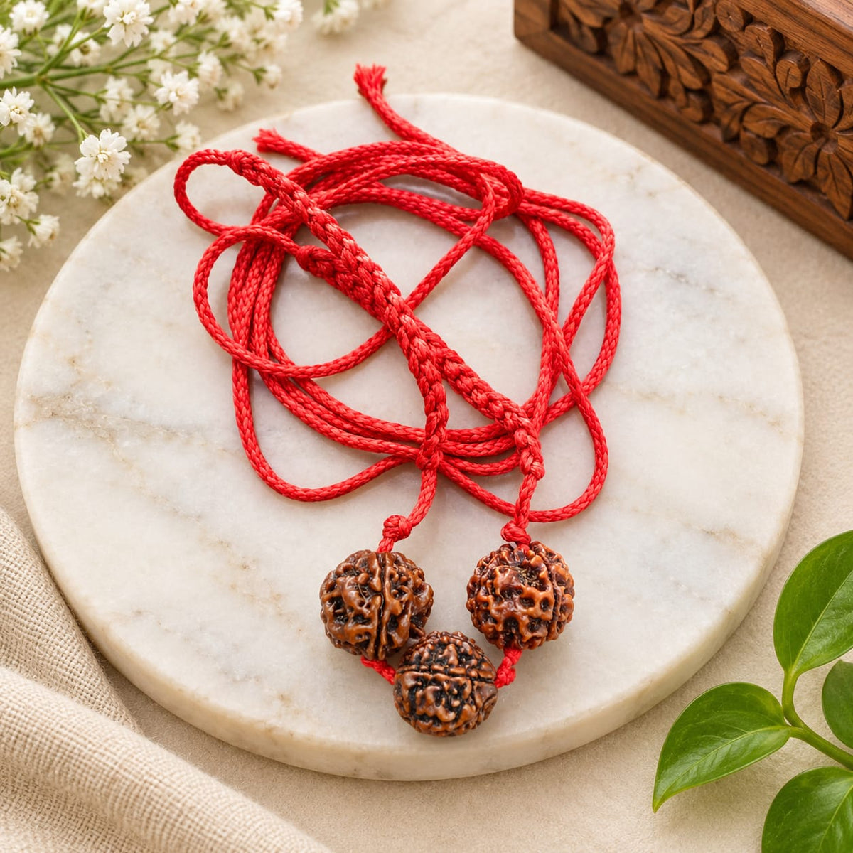 Saraswati Bandh Rudraksha Mala for Students with Original 4 and 6 Mukhi Nepal Rudraksha Beads Lab Certified