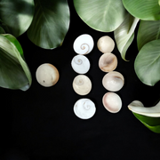 Set of 9 natural white Gomati Chakra stones with spiral designs, used for puja, meditation, Vastu, and spiritual healing