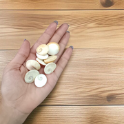 Set of 9 natural white Gomati Chakra stones with spiral designs, used for puja, meditation, Vastu, and spiritual healing