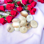 Set of 9 natural white Gomati Chakra stones with spiral designs, used for puja, meditation, Vastu, and spiritual healing