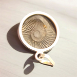 Shaligram Pendent | Shaligram Locket Silver Pendent | Lab Certified