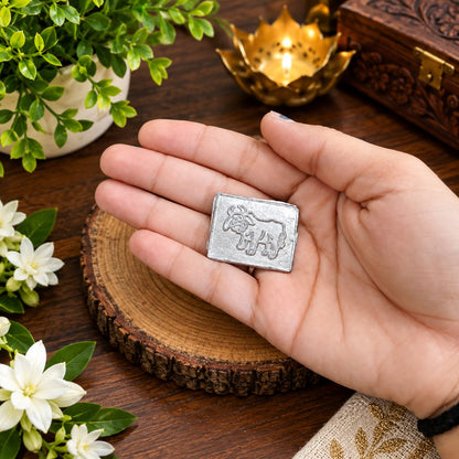 Shani Yantra Coin Set of 10 Ranga Shani Sikka for Puja remedies and worship