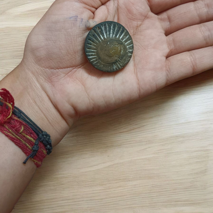 Sudarshan Shaligram – Natural & Lab Certified Shaligram Stone for Vishnu Worship, Protection & Positive Energy – Malawala