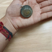 Sudarshan Shaligram – Natural & Lab Certified Shaligram Stone for Vishnu Worship, Protection & Positive Energy – Malawala