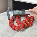 Traditional 5 Mukhi Rudraksha Kantha Mala with 108 beads, laid in a spiral on a wooden surface